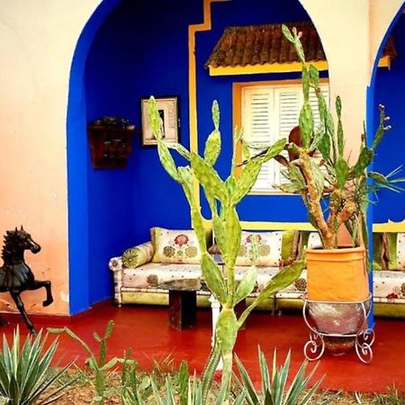 Riad Jasmine Sud Zagora Extérieur photo