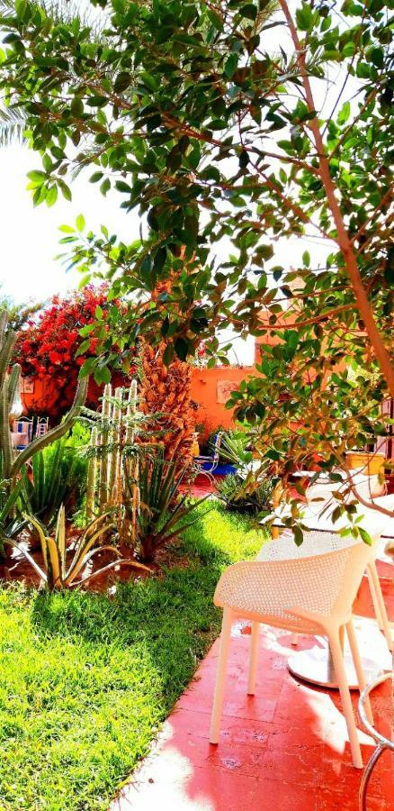 Riad Jasmine Sud Zagora Extérieur photo
